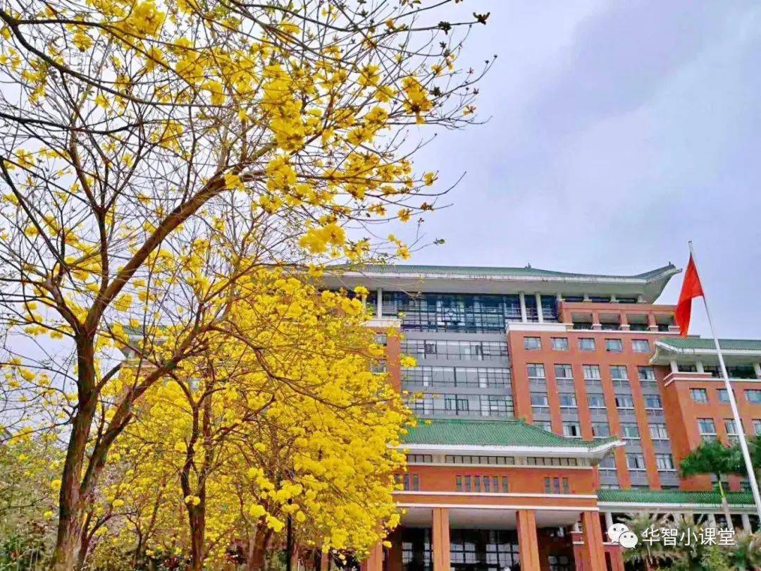 华中农业大学文凭(华中农业大学文凭报考条件)