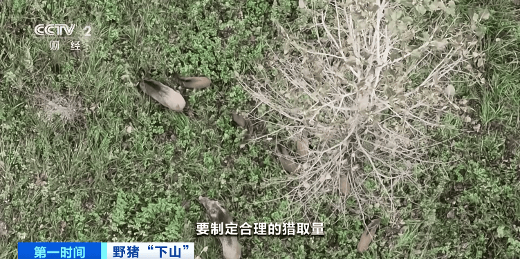 东北林业大学毕业证(东北林业大学毕业证书样本)
