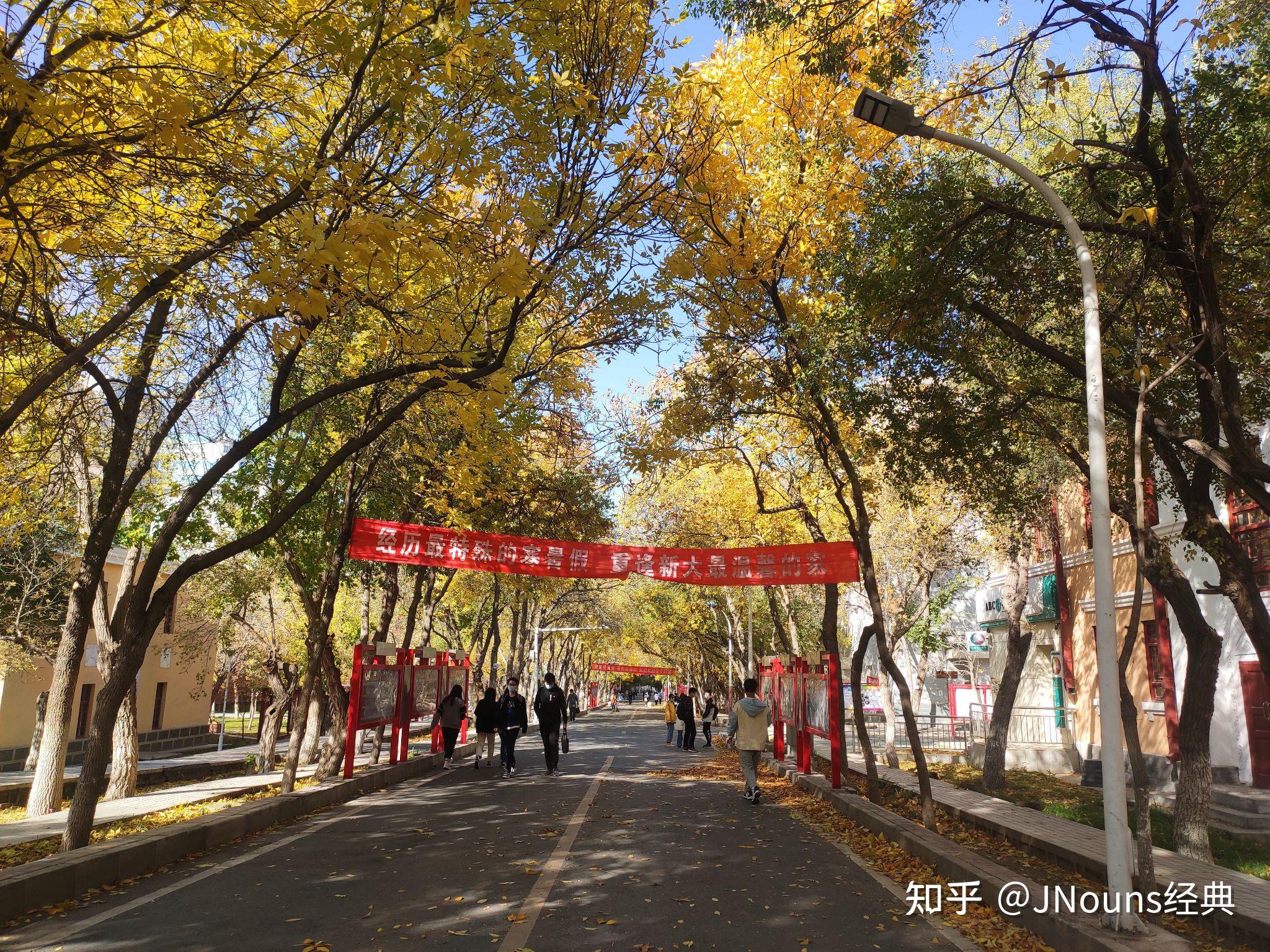 新疆大学(新疆大学2024年研究生招生简章)