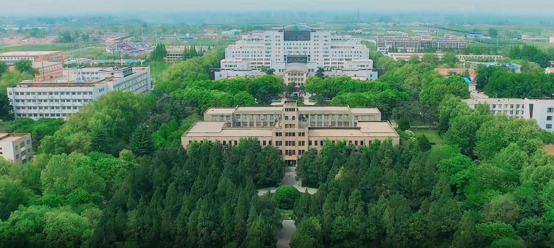 西北农林科技大学毕业证(西北农林科技大学毕业证和学位证)