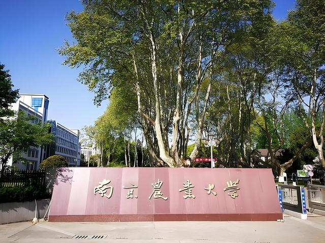 南京农业大学(南京农业大学网上办事大厅)