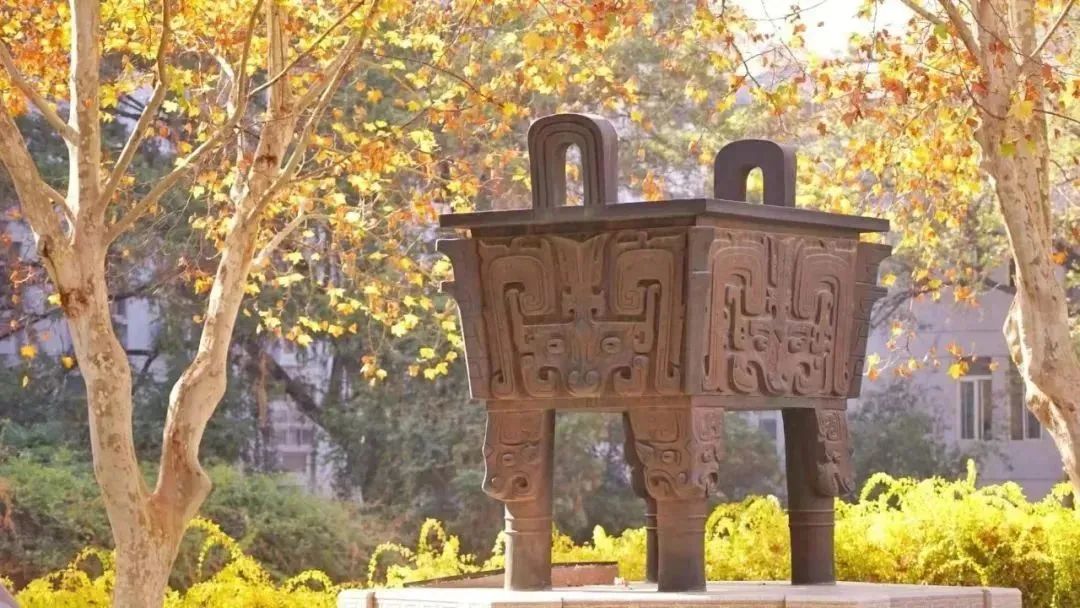 南京农业大学(南京农业大学网上办事大厅)