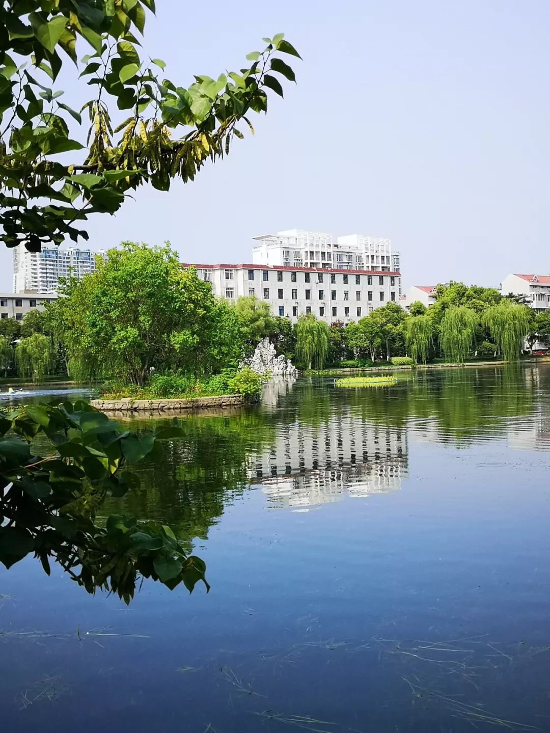 合肥工业大学(合肥工业大学研究生招生网)