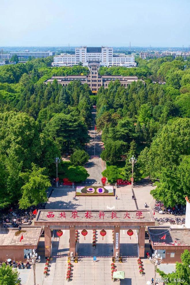 西北农林科技大学(西北农林科技大学邮箱)