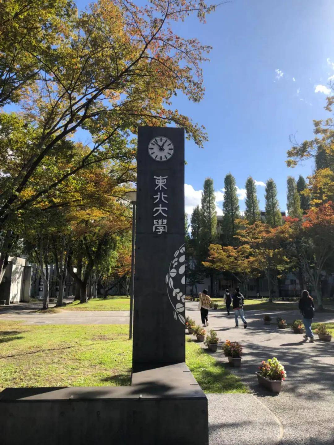 东北大学(东北大学就业信息网)