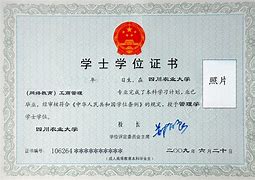 西南财经大学毕业证样本