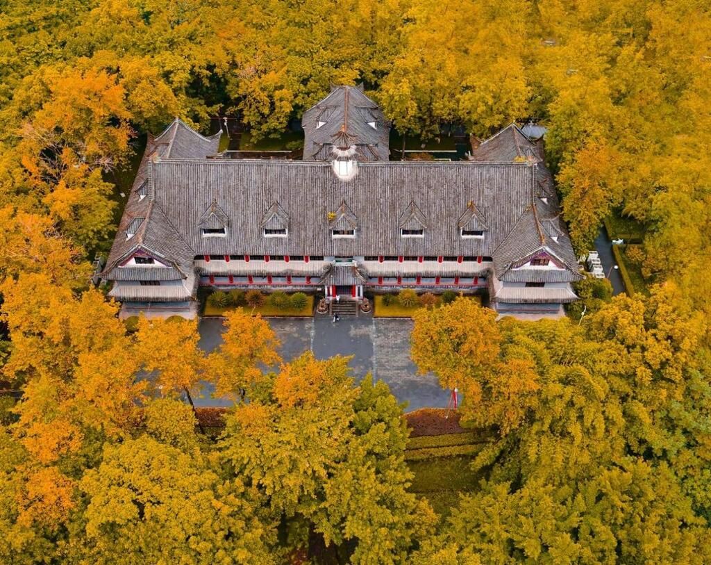 重庆大学官网