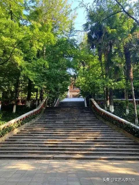 云南大学本科毕业要求