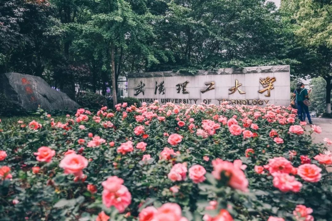 武汉理工大学2025年招生计划