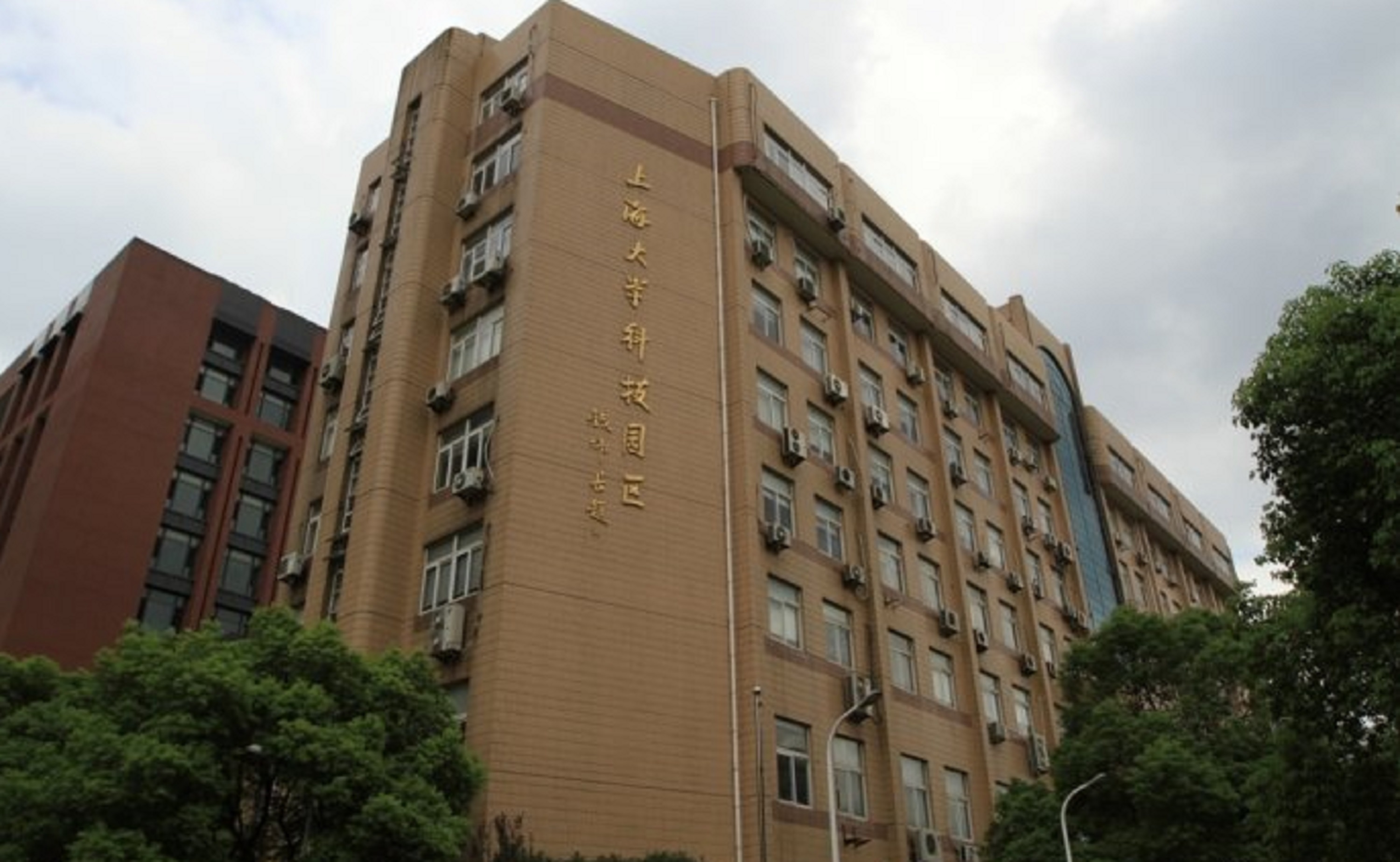 上海大学较高收费毕业证一样吗