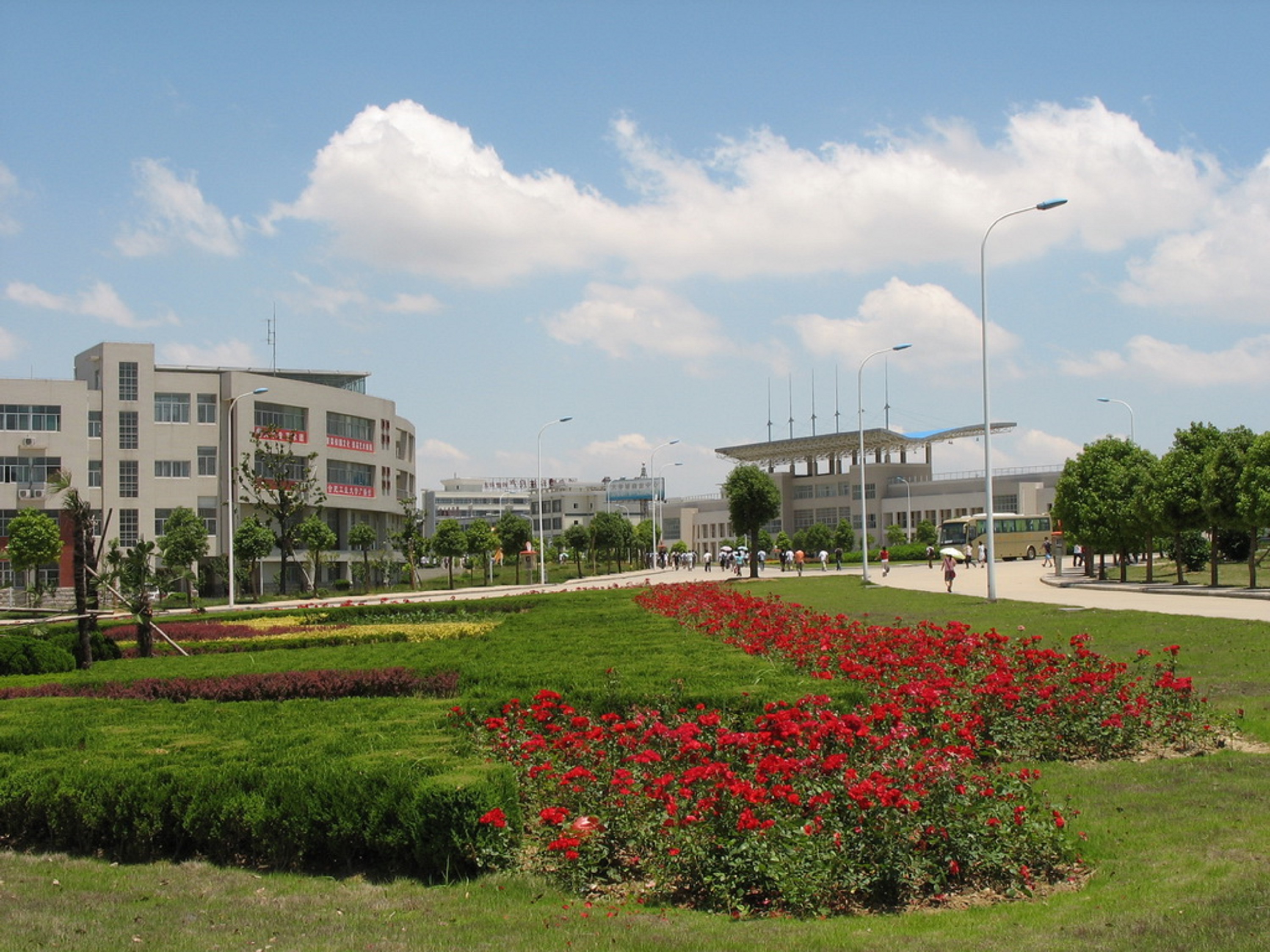 合肥工业大学毕业证书