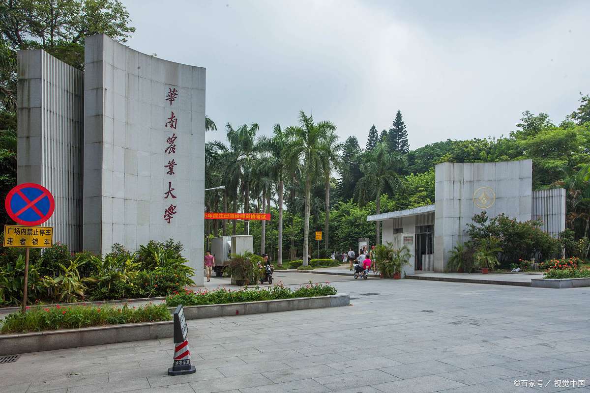 广西大学2025录取分数线是多少分