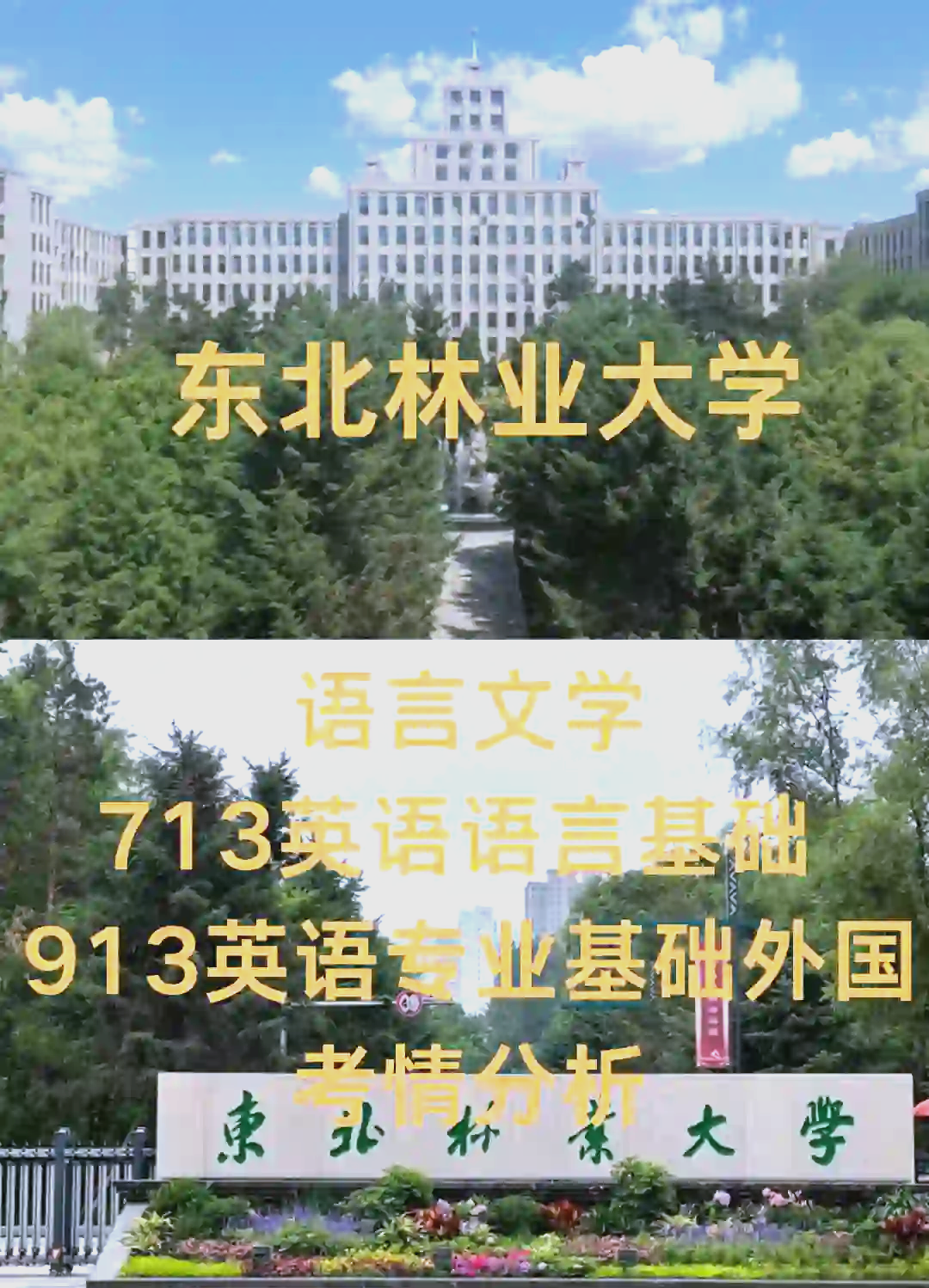 东北林业大学教务系统