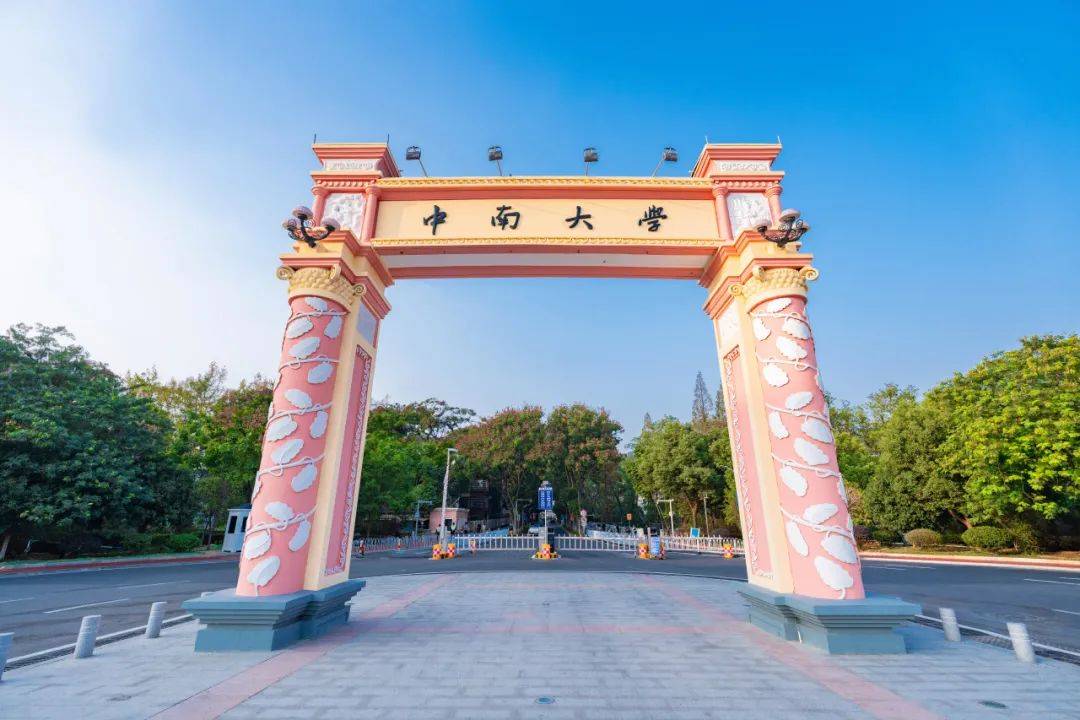 中南大学录取分数线2025年